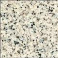 Granite Countertop Blanco Cristal Sample